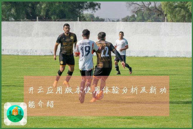 开云应用版本使用体验分析及新功能介绍